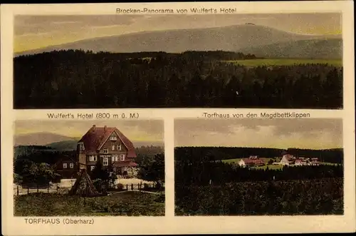 Ak Torfhaus Altenau Schulenberg Clausthal Zellerfeld im Oberharz, Panorama, Wulferts Hotel