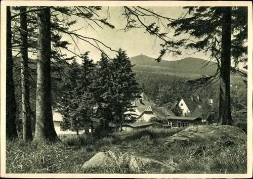 Ak Schierke Wernigerode am Harz, Wurmberg