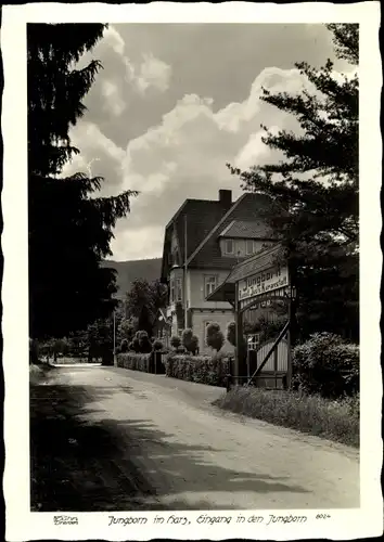 Ak Bad Harzburg am Harz, Jungborn, Eingang