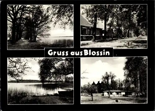 Ak Blossin Heidesee in Brandenburg, Wasserpartie, Bäume, Häuser