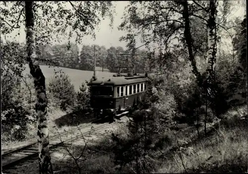 Ak Buckow in der Märkischen Schweiz, Waldbahn