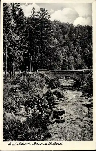 Ak Polanica Zdrój Bad Altheide Schlesien, Partie im Höllental