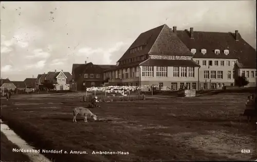 Ak Norddorf auf Amrum Nordfriesland, Ambronen Haus, Schaf
