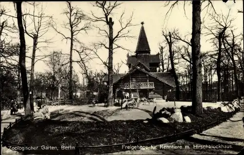 Ak Berlin Tiergarten, Freigehege Renntiere, Hirschblockhaus