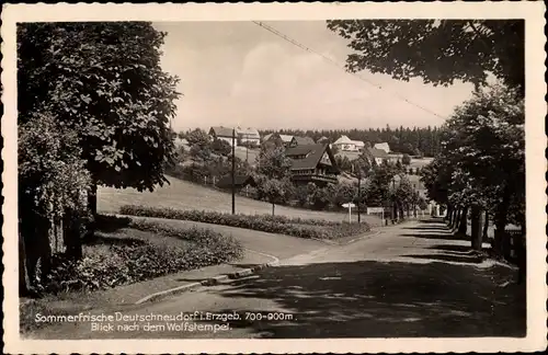 Ak Deutschneudorf im Erzgebirge, Panorama, Wolfstempel