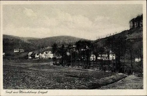 Ak Hirschberg Olbernhau im Erzgebirge Sachsen, Panorama