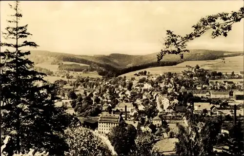 Ak Pockau im Erzgebirge Sachsen, Panorama