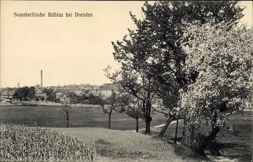 Ak Dresden Bühlau, Fernblick zum Ort