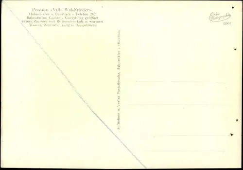 Ak Hahnenklee Bockswiese Goslar in Niedersachsen, Villa Waldfrieden, Pension