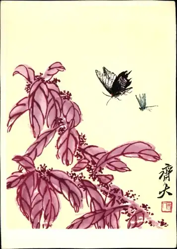 Künstler Ak Chi Pai Shih, Schmetterlinge, chinesische Aquarelle