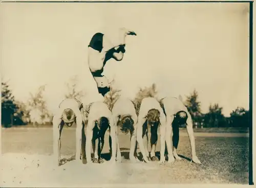 Foto Schnappschuss, Turner beim Salto über Kameraden