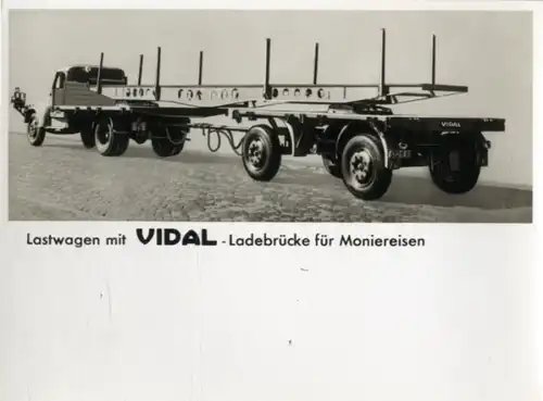 Foto Lastwagen mit Vidal Ladebrücke für Moniereisen