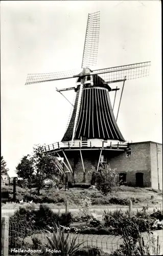 Ak Hellendoorn Overijssel, Windmühle, Molen