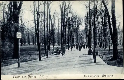 Ak Berlin Tiergarten, Im Tiergarten, Ahornsteig