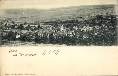 Ak Bad Gandersheim in Niedersachsen,  Panorama