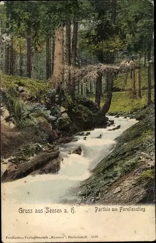 Ak Seesen am Harz, Forellenstieg