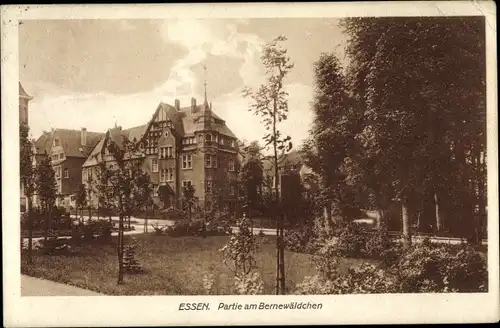 Ak Essen im Ruhrgebiet Nordrhein Westfalen, Bernewäldchen