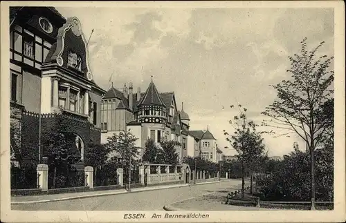Ak Essen im Ruhrgebiet, Bernewäldchen