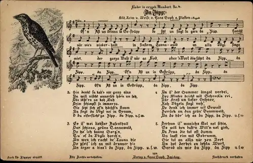 Lied Ak Soph, Hans, Da Zipp, Erzgebirgische Mundart Nr 4, Vogel