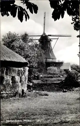 Ak Hellendoorn Overijssel, Molen, Windmühle