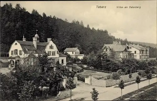 Ak Tabarz im Thüringer Wald, Villen am Datenberg