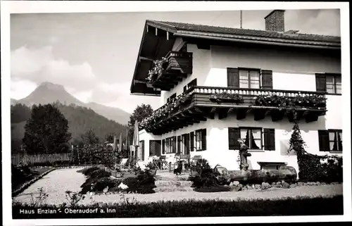 Ak Oberaudorf in Oberbayern, Haus Enzian