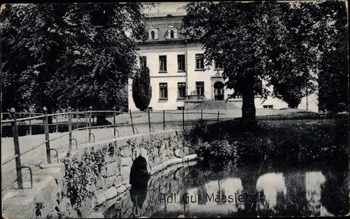 Ak Holzdorf in Schleswig Holstein, Gut Maasleben