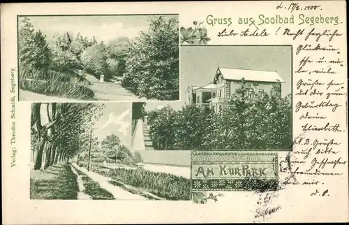 Ak Bad Segeberg in Schleswig Holstein, Kurpark
