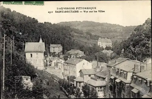 Ak Saint Nectaire Puy de Dôme, Vue sur les Villas