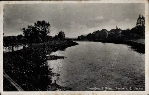 Ak Torgelow an der Uecker, Ueckerpartie