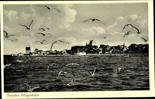 Ak Ostseebad Heiligenhafen, Möwen, See