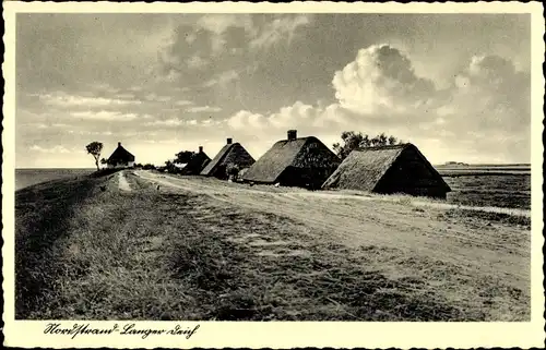 Ak Insel Nordstrand in Nordfriesland, Langer Deich