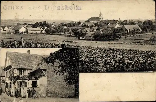 Ak Dingsheim Elsass Bas Rhin, Panorama, Gasthaus