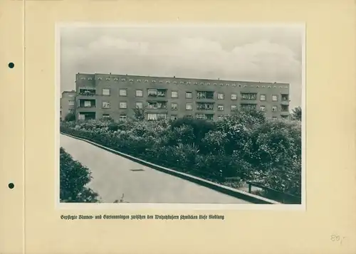 Foto Berlin, Wohnhäuser, Blumen u Gartenanlagen, Spar- und Bauverein