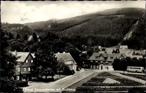 Ak Jonsdorf in Sachsen, Hotel Dammschenke, Buchberg