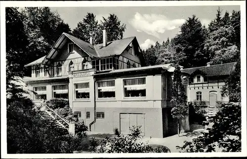 Ak Hagen in Westfalen, Waldlust, Restaurant