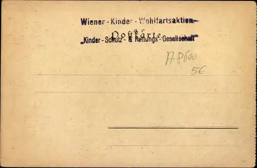 Künstler Ak Bruck an der Mur Steiermark, Panorama