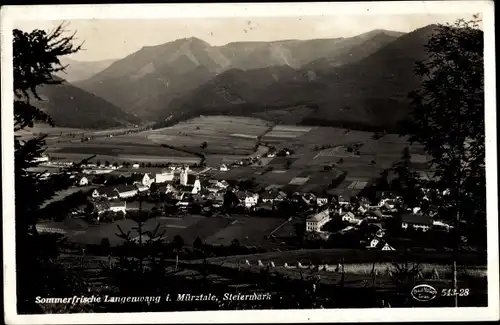 Ak Langenwang im Mürztal Steiermark, Panorama