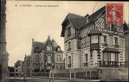 Ak Cabourg Calvados, Avenue des Sycomores