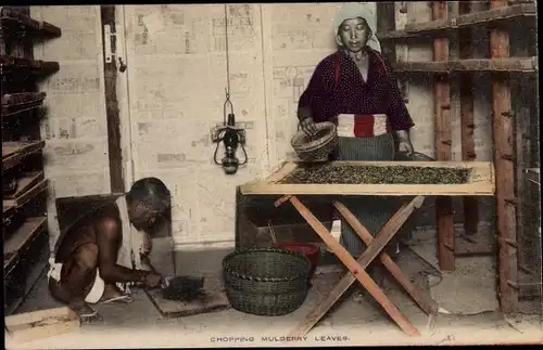 Ak Chopping Mulberry Leaves, Asiaten, getrocknete Maulbeerblätter