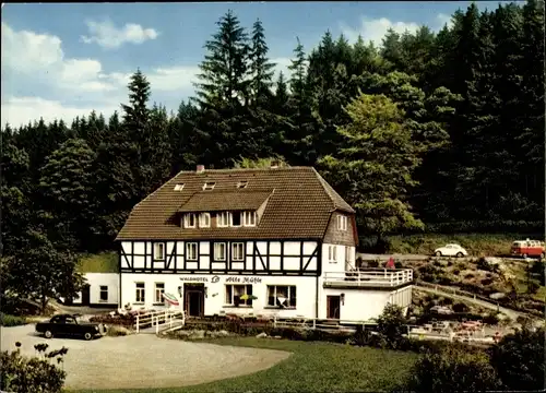 Ak Fohlenplacken Neuhaus im Solling Holzminden Niedersachsen, Waldhotel Alte Mühle, Bes. H. Meyer