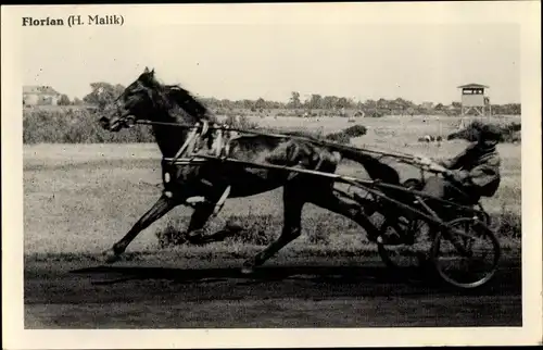 Foto Ak Florian Rennpferd, Jockey H. Malik