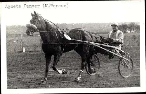 Ak Rennpferd Agnete Denver, Jockey M. Werner