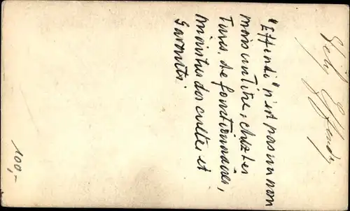 Carte de Visite Ahmed Vefik Pascha, türkischer Premierminister