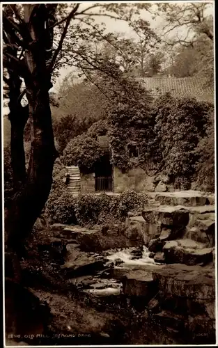 Ak Jesmond Dene Newcastle upon Tyne North East England, Old Mill