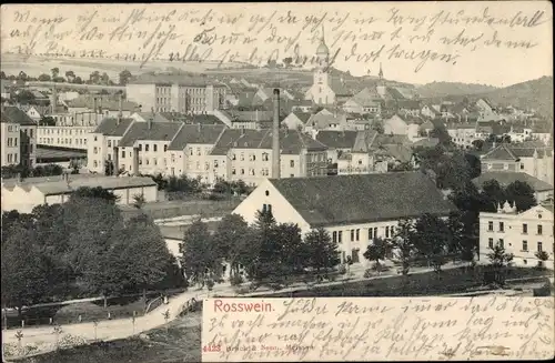 Ak Roßwein in Sachsen, Gesamtansicht