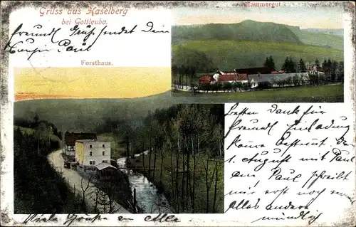 Ak Bad Gottleuba Berggießhübel, Haselberg, Forsthaus, Hammergut