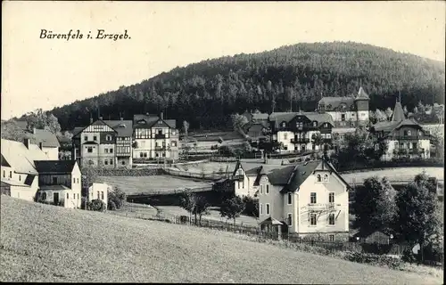 Ak Bärenfels Altenberg im Erzgebirge, Teilpanorama