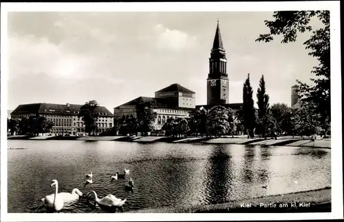 Ak Hansestadt Kiel, Kleiner Kiel, Schwäne, Rathaus