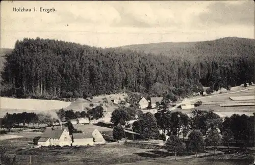 Ak Holzhau Rechenberg Bienenmühle, Panorama der Ortschaft